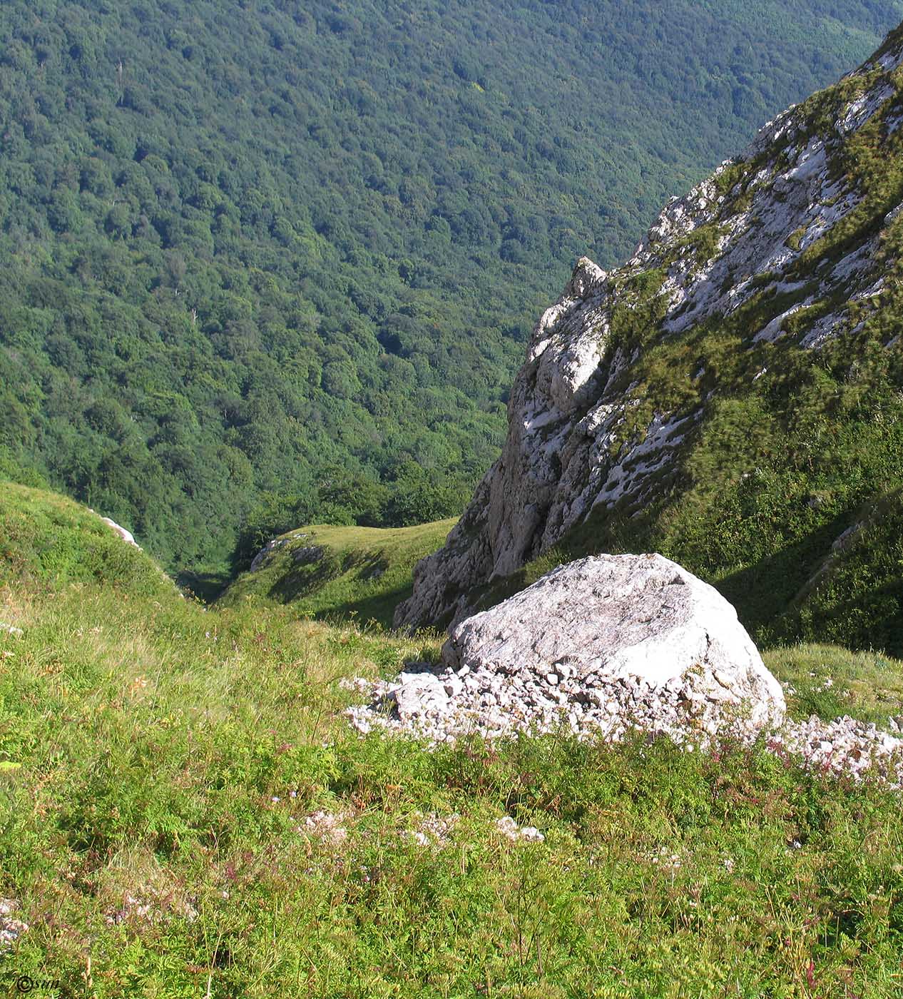 Чатырдаг, image of landscape/habitat.