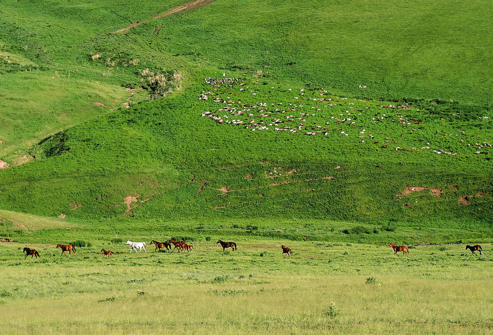 Плато Ассы, image of landscape/habitat.