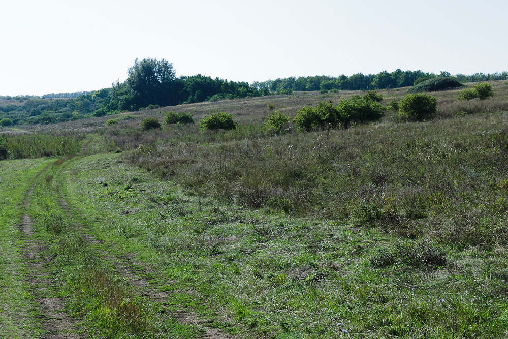 Тузловские склоны, image of landscape/habitat.