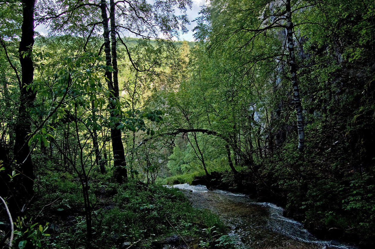 Ручей Куперля, image of landscape/habitat.