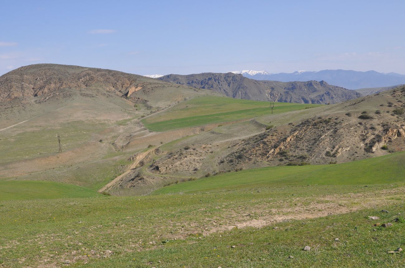 Окрестности урочища Мусхи, image of landscape/habitat.