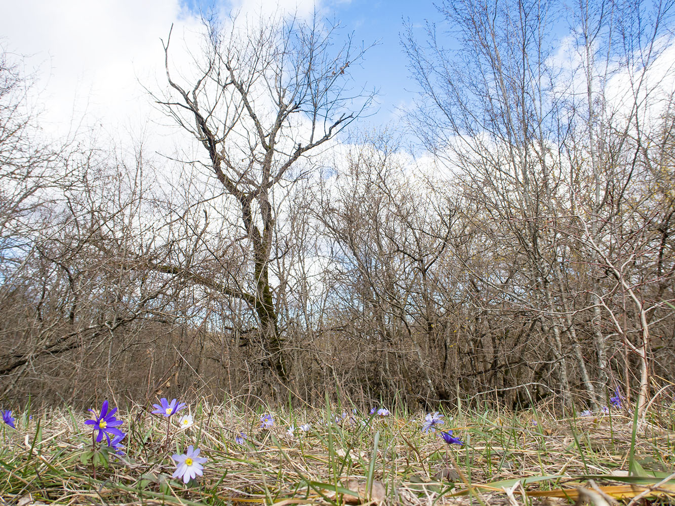 Глубокий Яр, image of landscape/habitat.