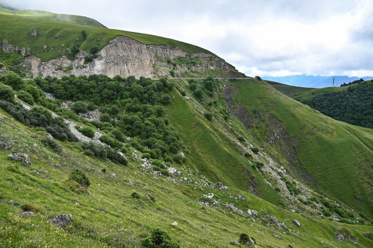 Перевал Цей-Лоам, image of landscape/habitat.