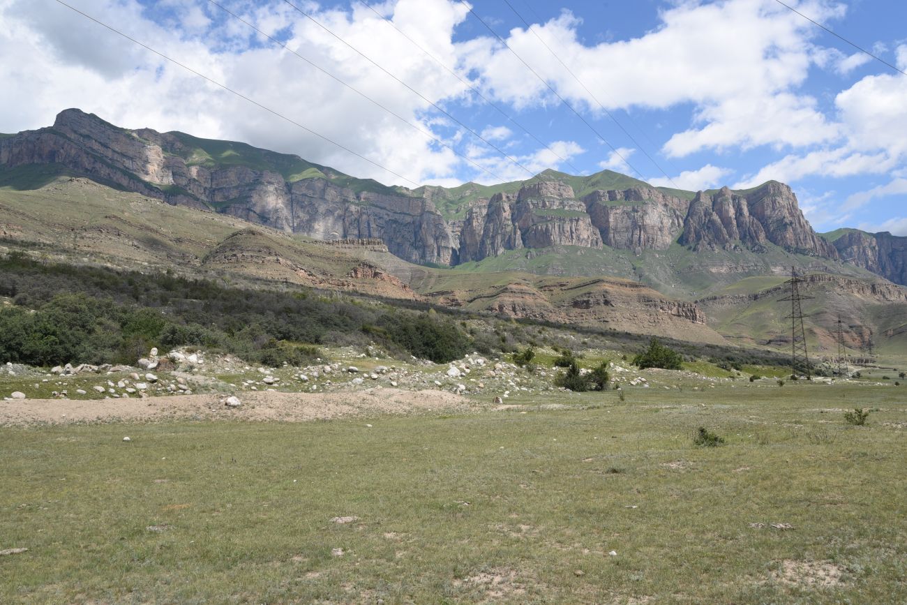 Былым, image of landscape/habitat.