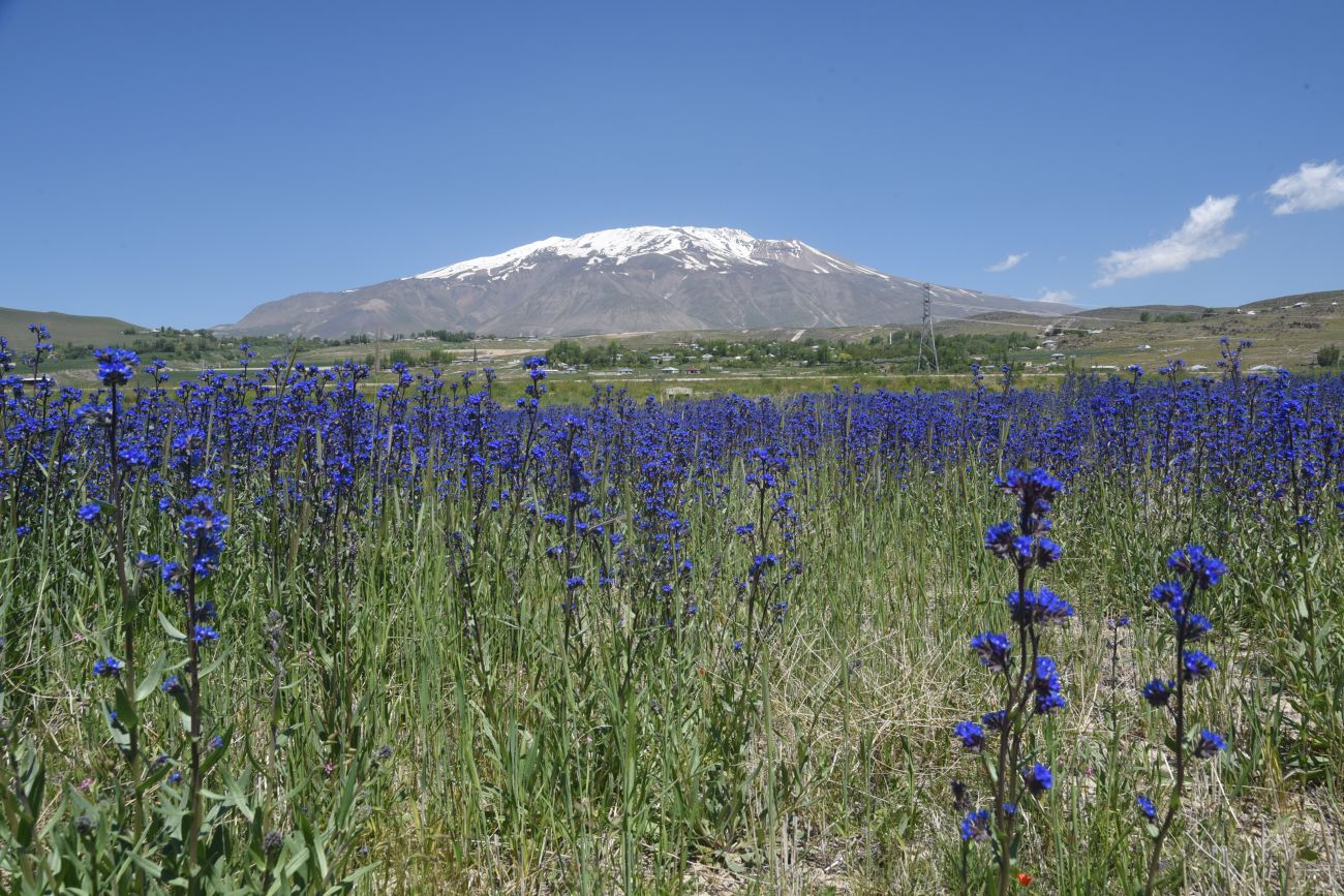 Айдынлар, image of landscape/habitat.