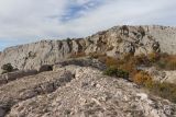 Байдарская Яйла, image of landscape/habitat.