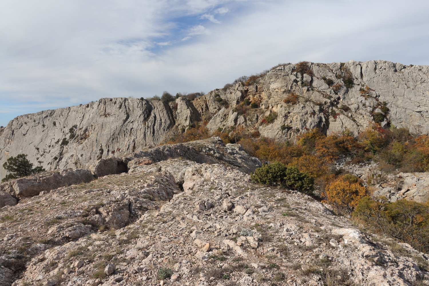 Байдарская Яйла, image of landscape/habitat.