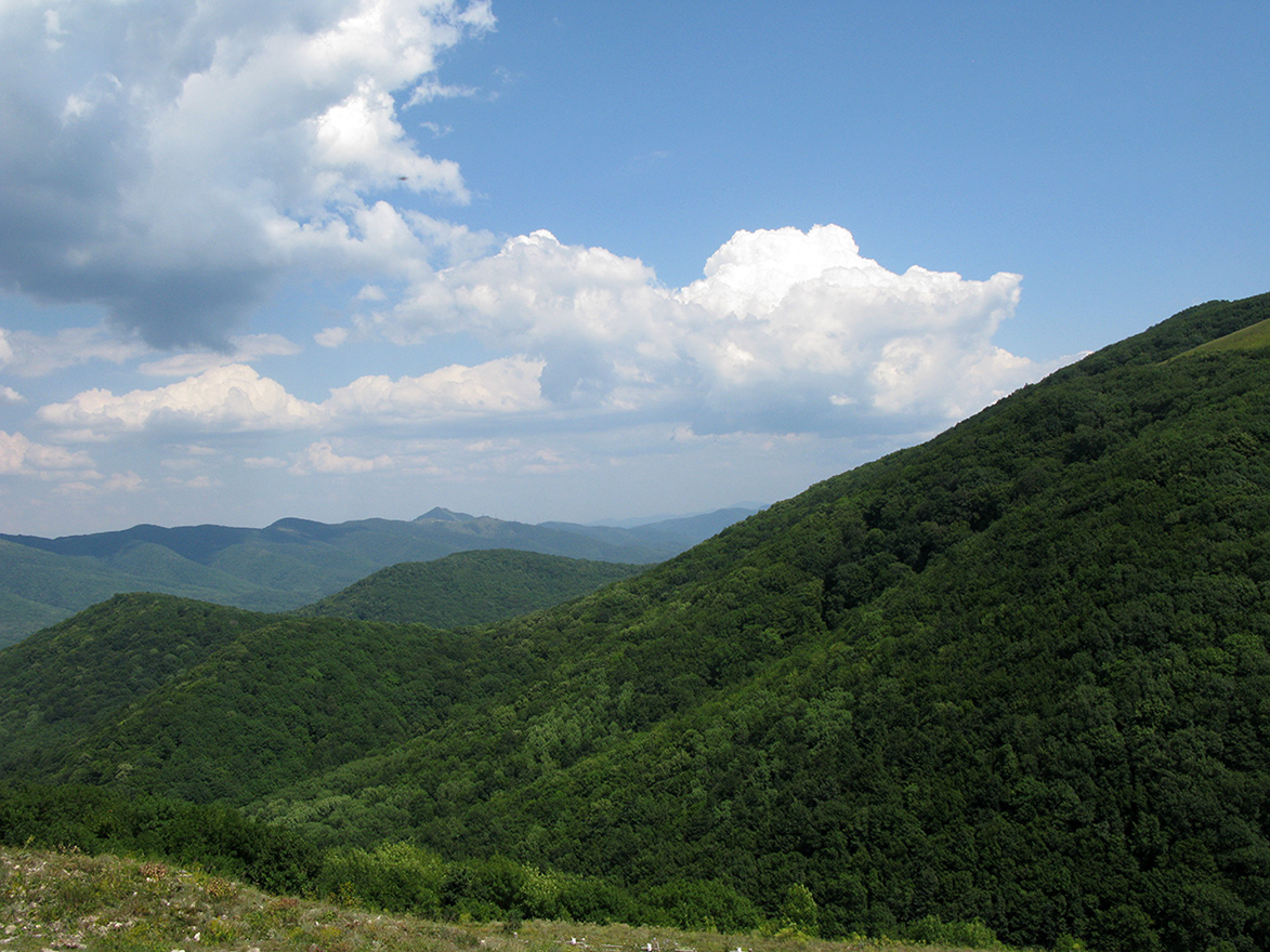 Прибрежная гора мыса Шесхарис, image of landscape/habitat.