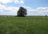 Image of landscape