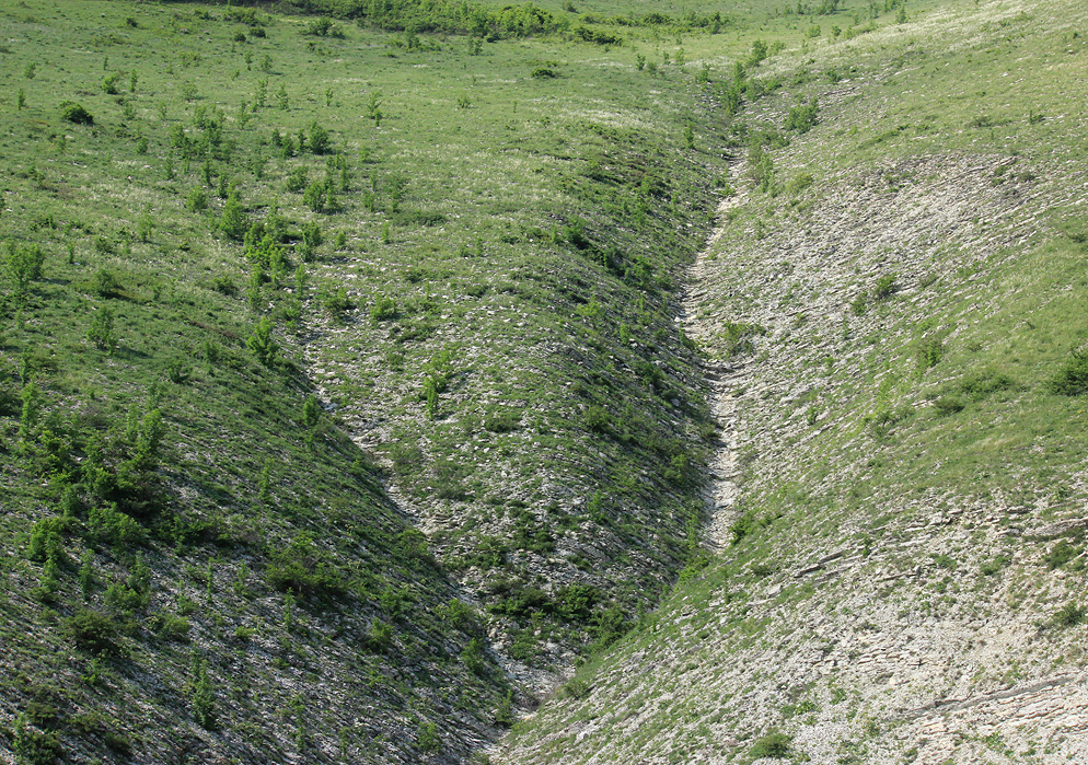 Нефтяная балка, image of landscape/habitat.