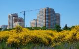 Окрестности Суджукской лагуны, image of landscape/habitat.