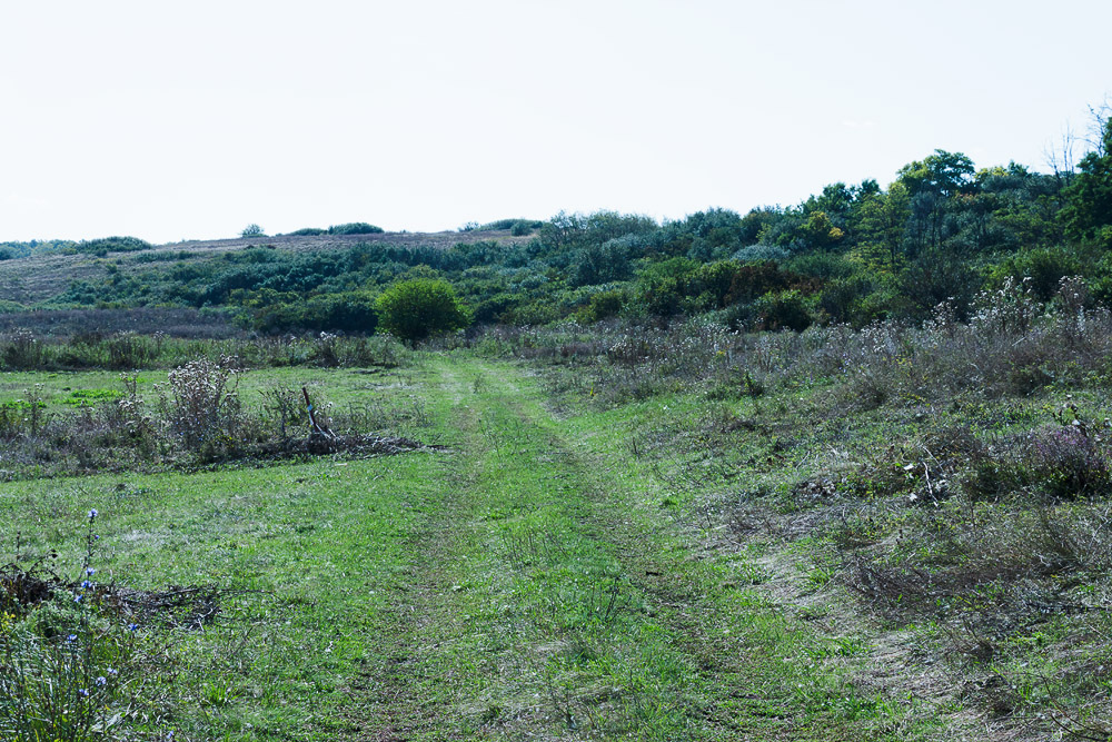 Тузловские склоны, image of landscape/habitat.