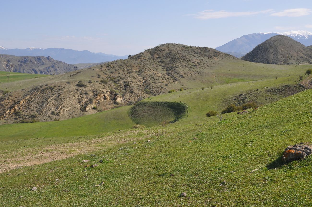 Окрестности урочища Мусхи, image of landscape/habitat.