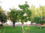 Image of landscape