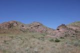 Image of landscape