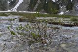 Окрестности озера Донгуз-Орун, image of landscape/habitat.