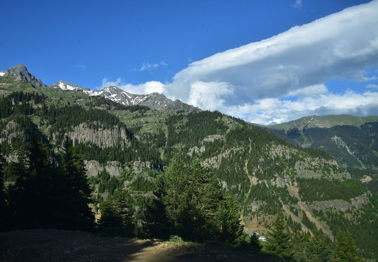 Кашикли, image of landscape/habitat.