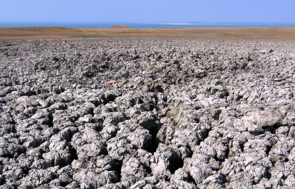 Таманский полуостров, image of landscape/habitat.