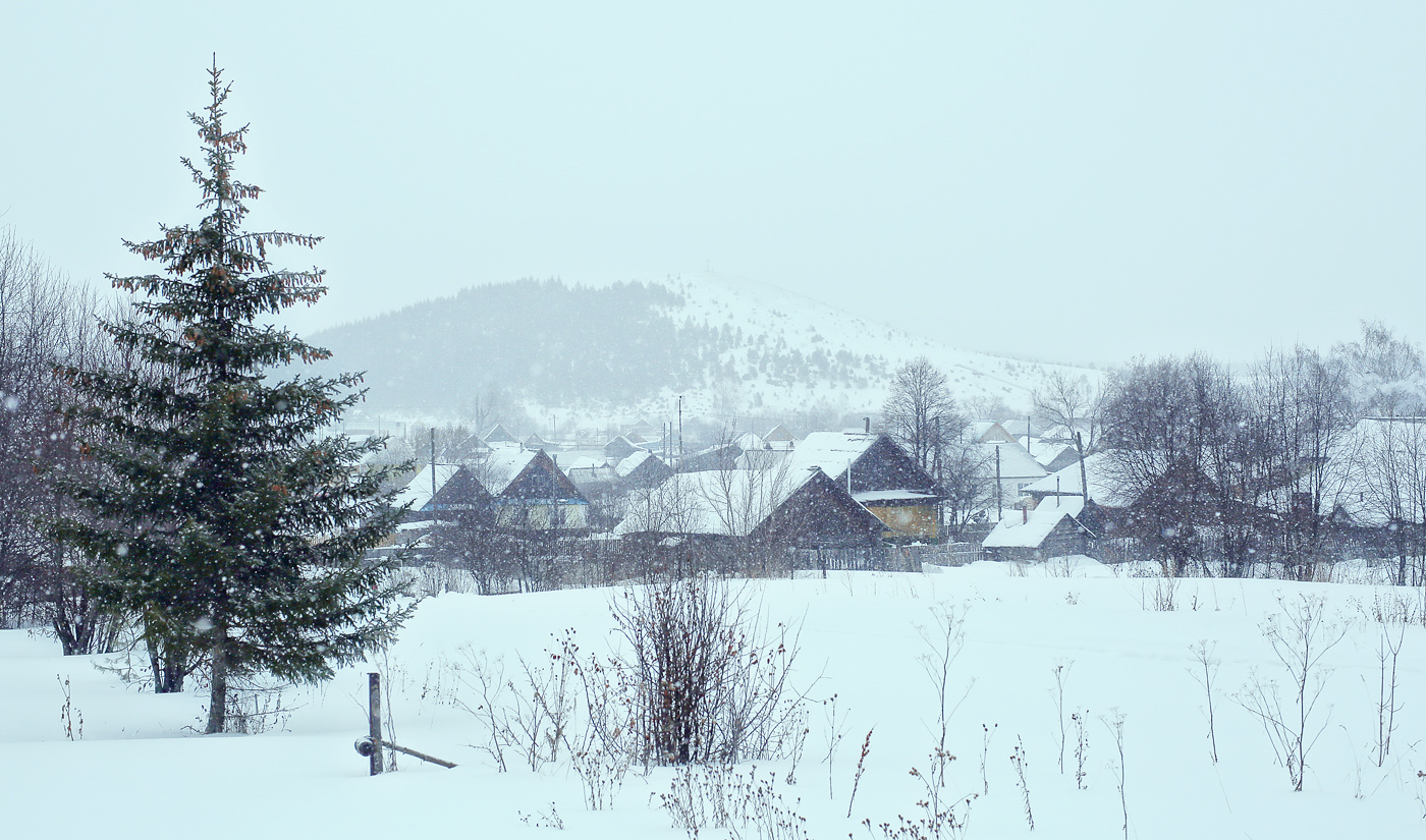 Окрестности села Ключи, image of landscape/habitat.