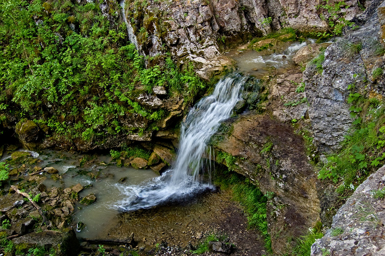 Ручей Куперля, image of landscape/habitat.