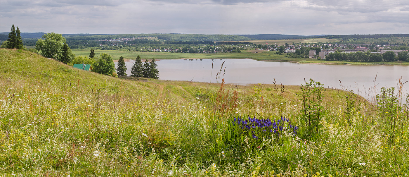 Поселок Юго-Камский, image of landscape/habitat.