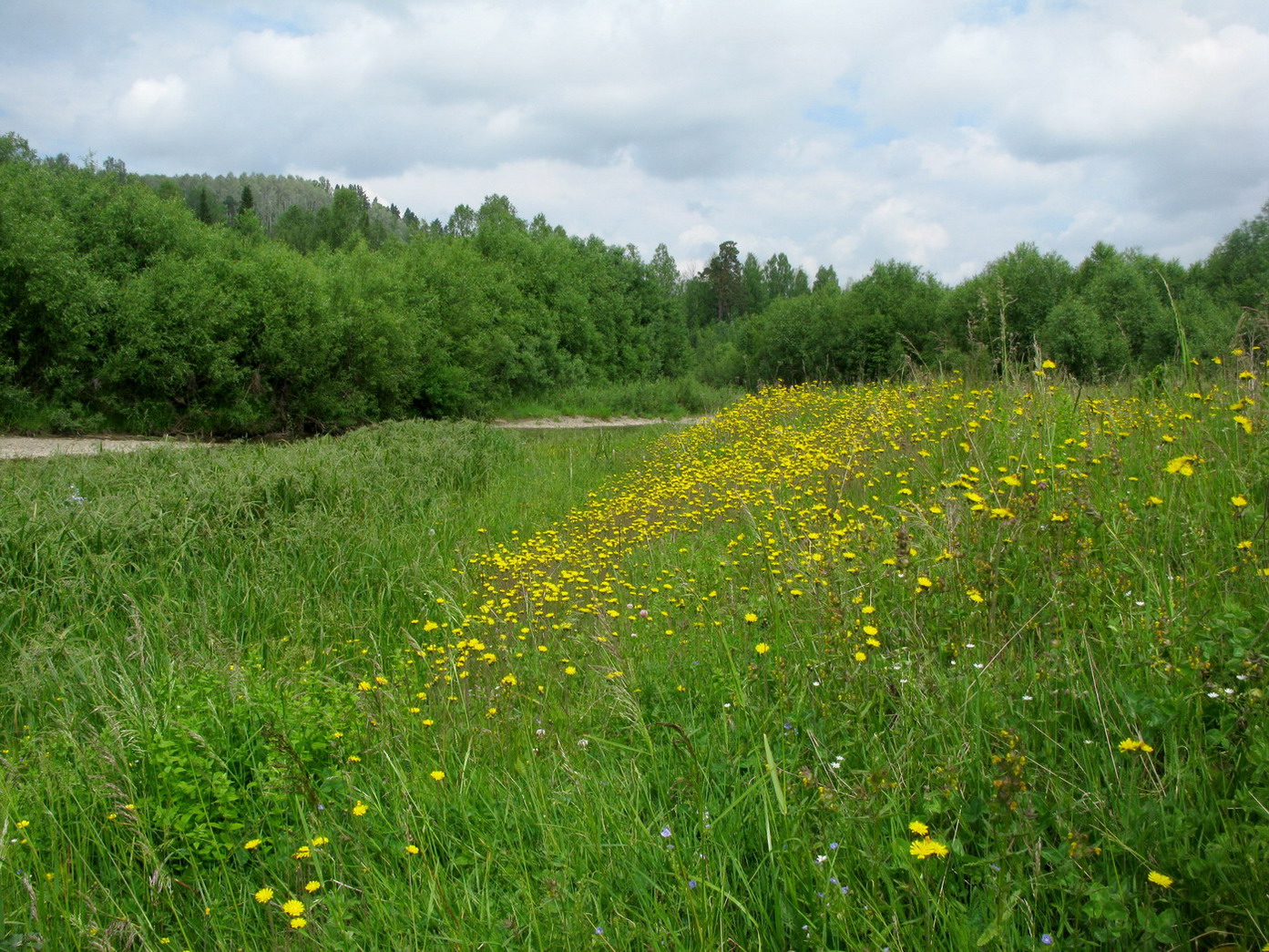 Танзыбей, image of landscape/habitat.