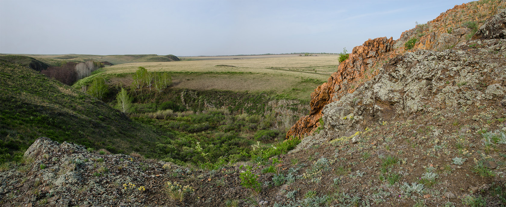 Каменка, image of landscape/habitat.