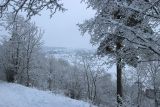 Дудергофские высоты, image of landscape/habitat.