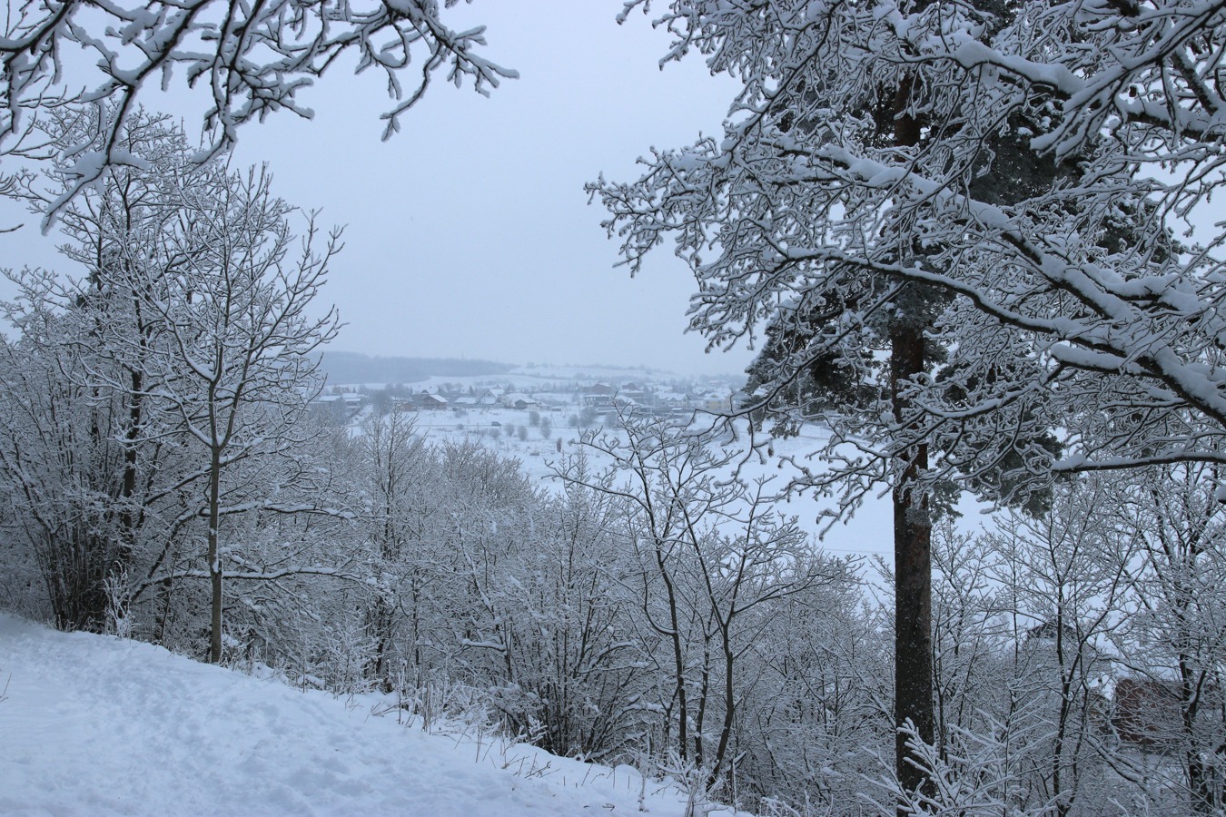 Дудергофские высоты, image of landscape/habitat.