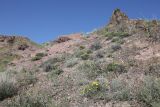 Image of landscape