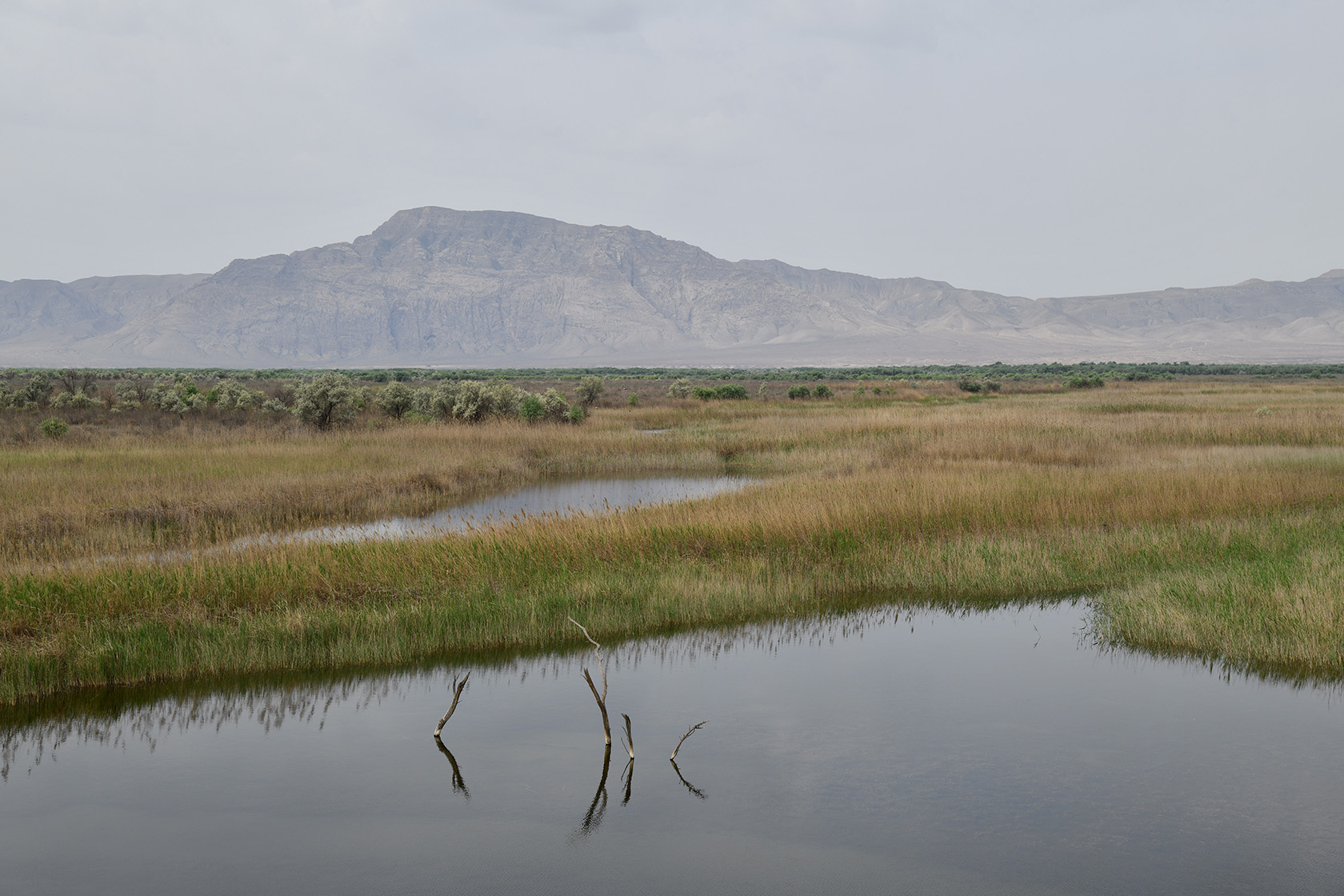 "Королевская дача", image of landscape/habitat.