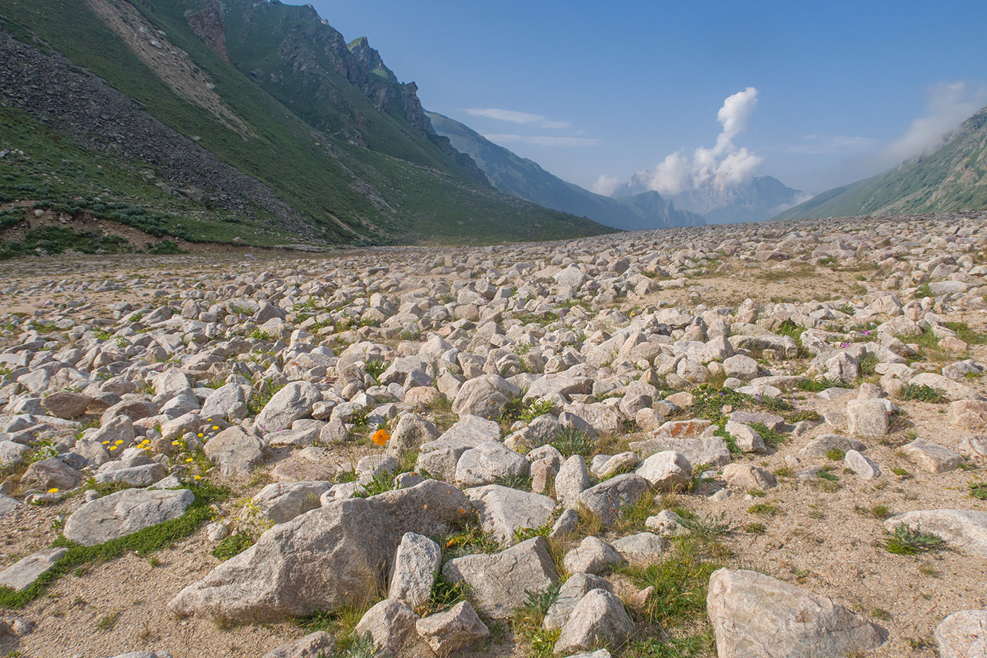 Ледник Нахашбита (Псыгансу), image of landscape/habitat.