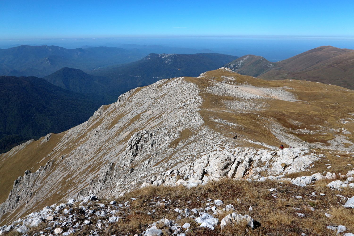 Пшехо-Су, image of landscape/habitat.
