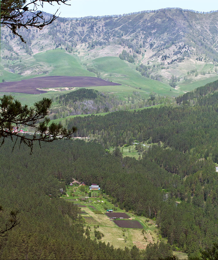 Горно-Алтайский Ботанический Сад, изображение ландшафта.