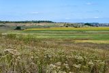 Тузловские склоны, image of landscape/habitat.