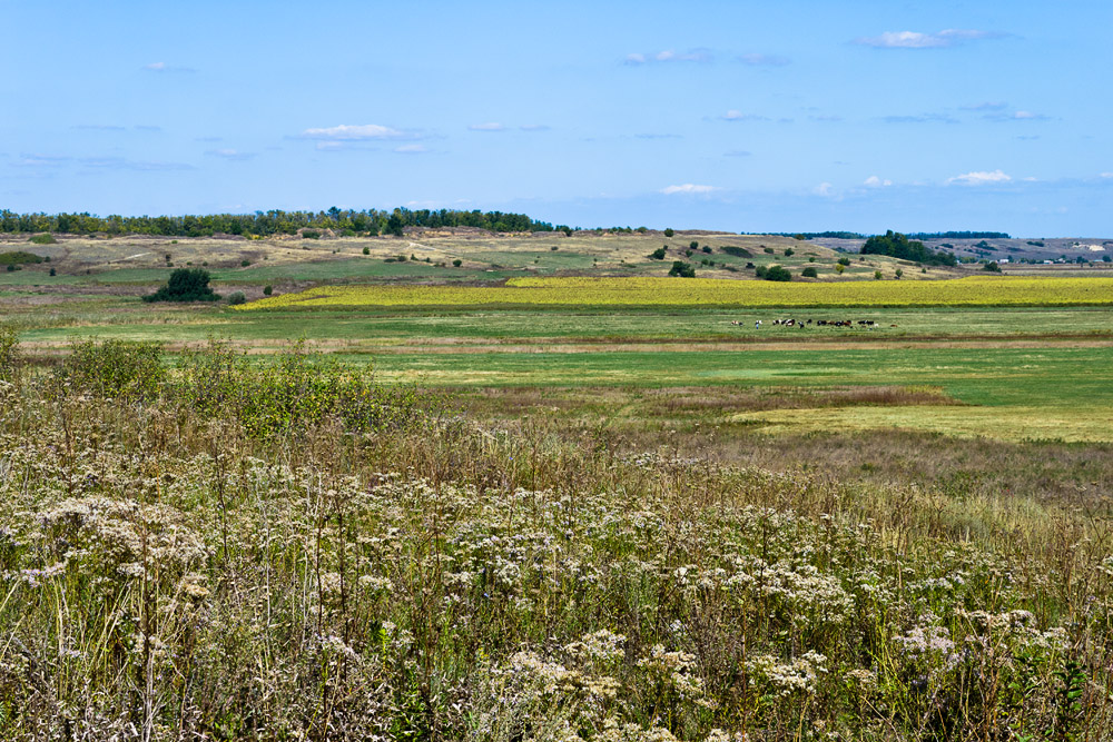 Тузловские склоны, image of landscape/habitat.
