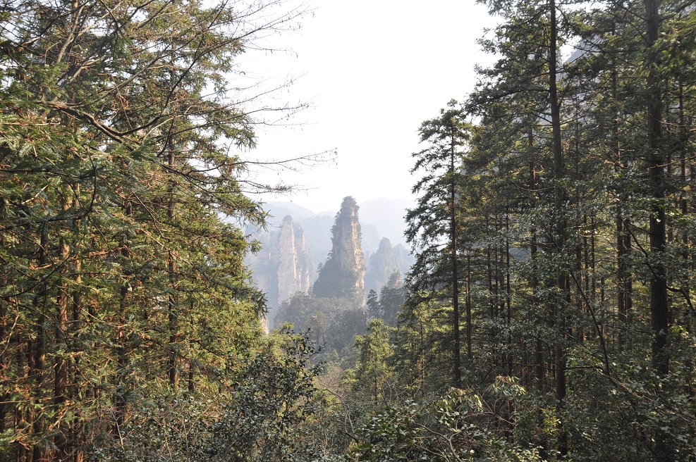 Национальный парк "Чжанцзяцзе", image of landscape/habitat.