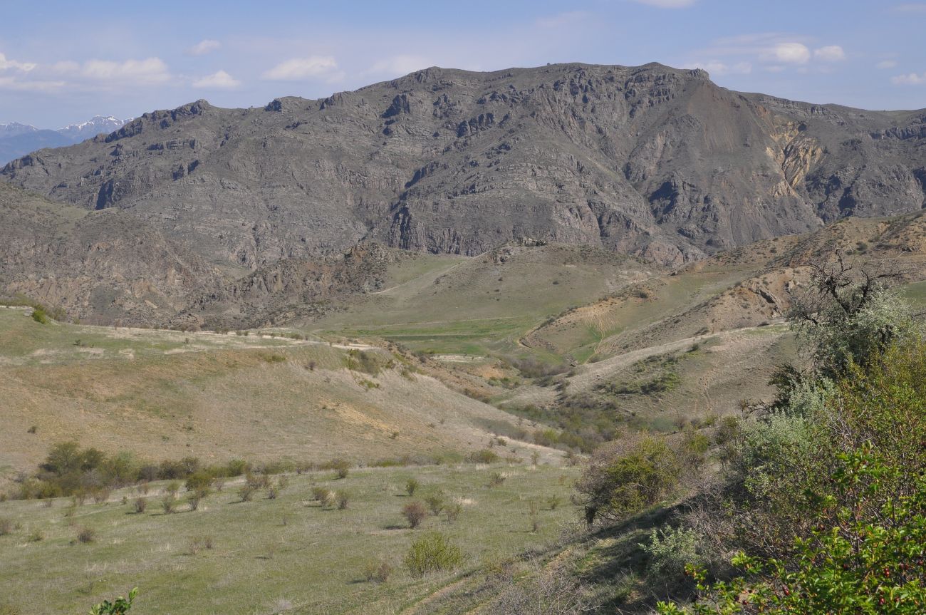 Окрестности урочища Мусхи, image of landscape/habitat.