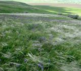 Image of landscape