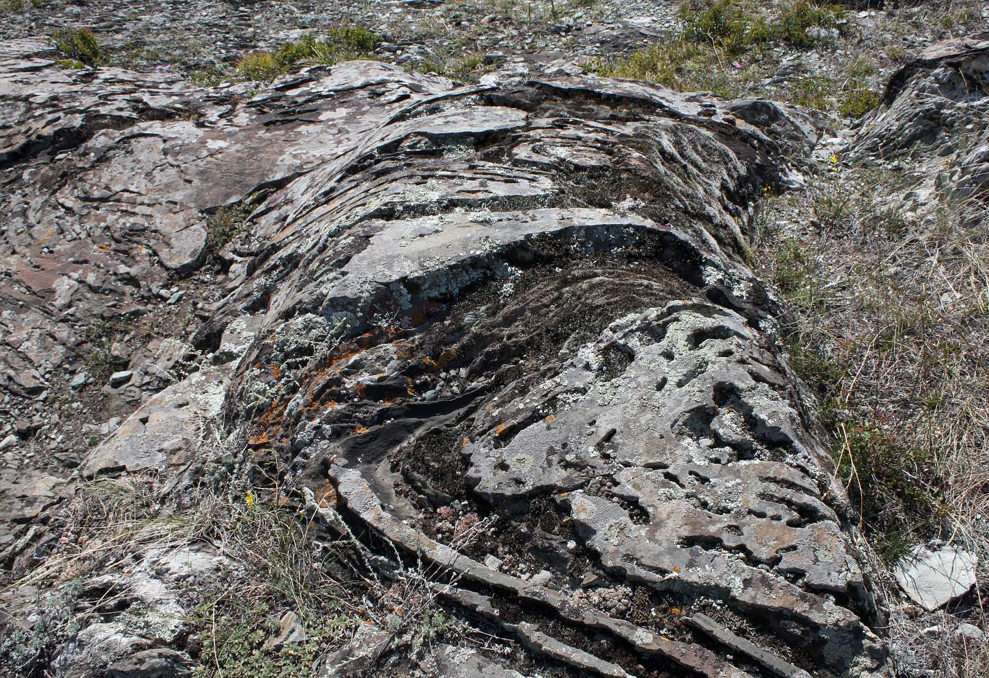 Калбак-таш, image of landscape/habitat.