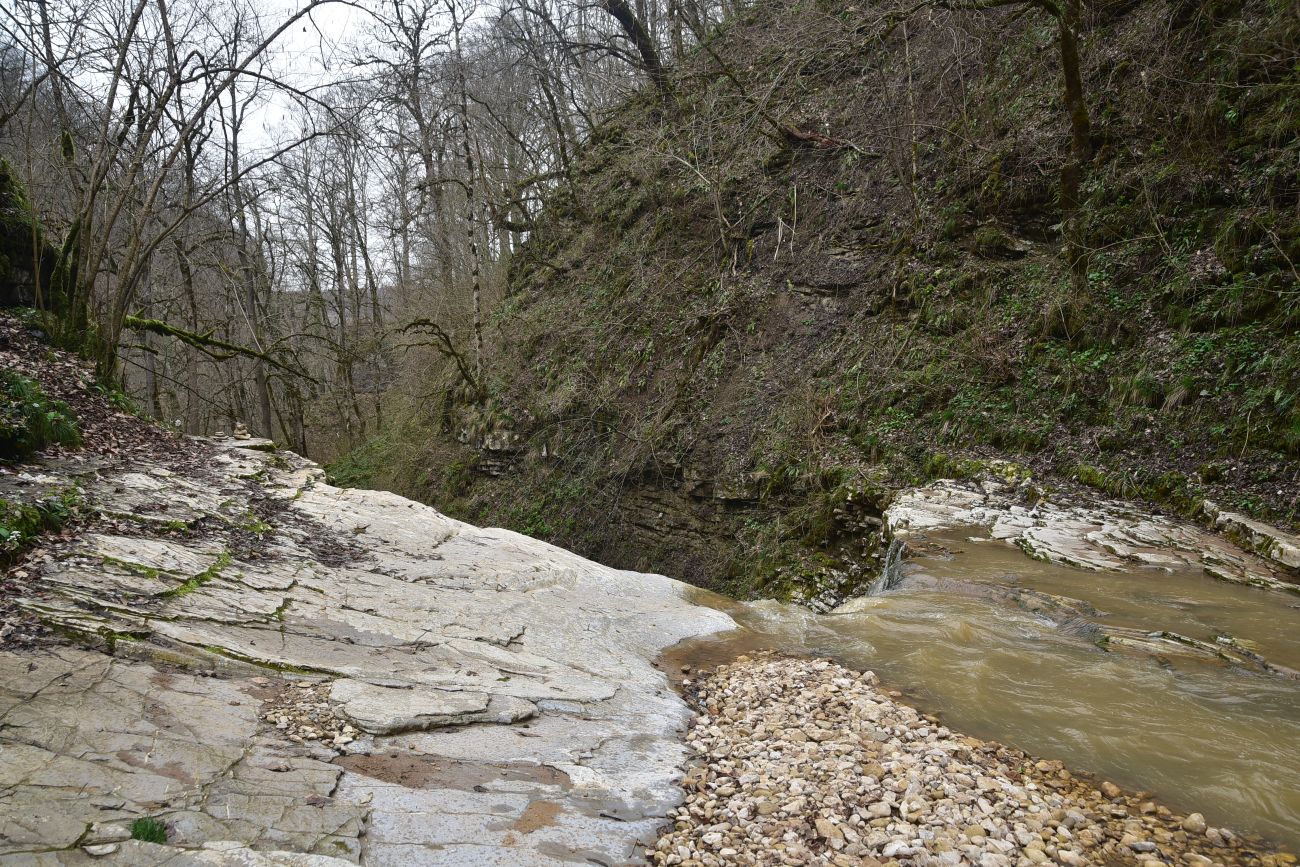 Девичья Коса, изображение ландшафта.