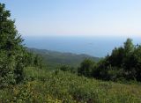 Прибрежная гора мыса Шесхарис, изображение ландшафта.