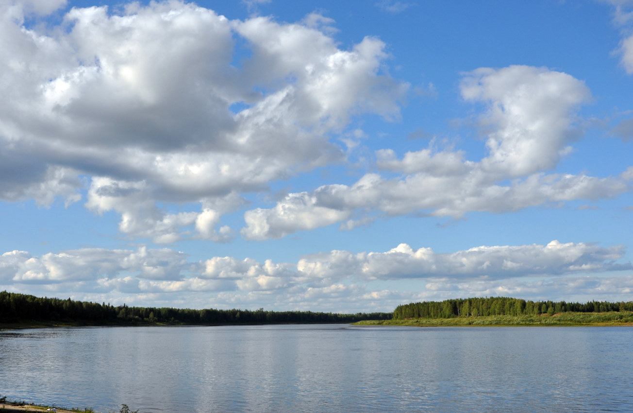 Окрестности села Усть-Илыч, image of landscape/habitat.