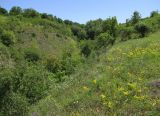 Image of landscape