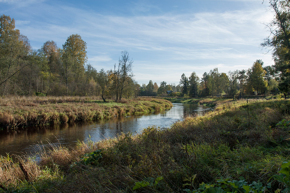 Дачное на Мге, image of landscape/habitat.