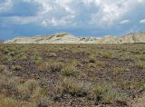 Горы Актау (Алтын-Эмель), image of landscape/habitat.