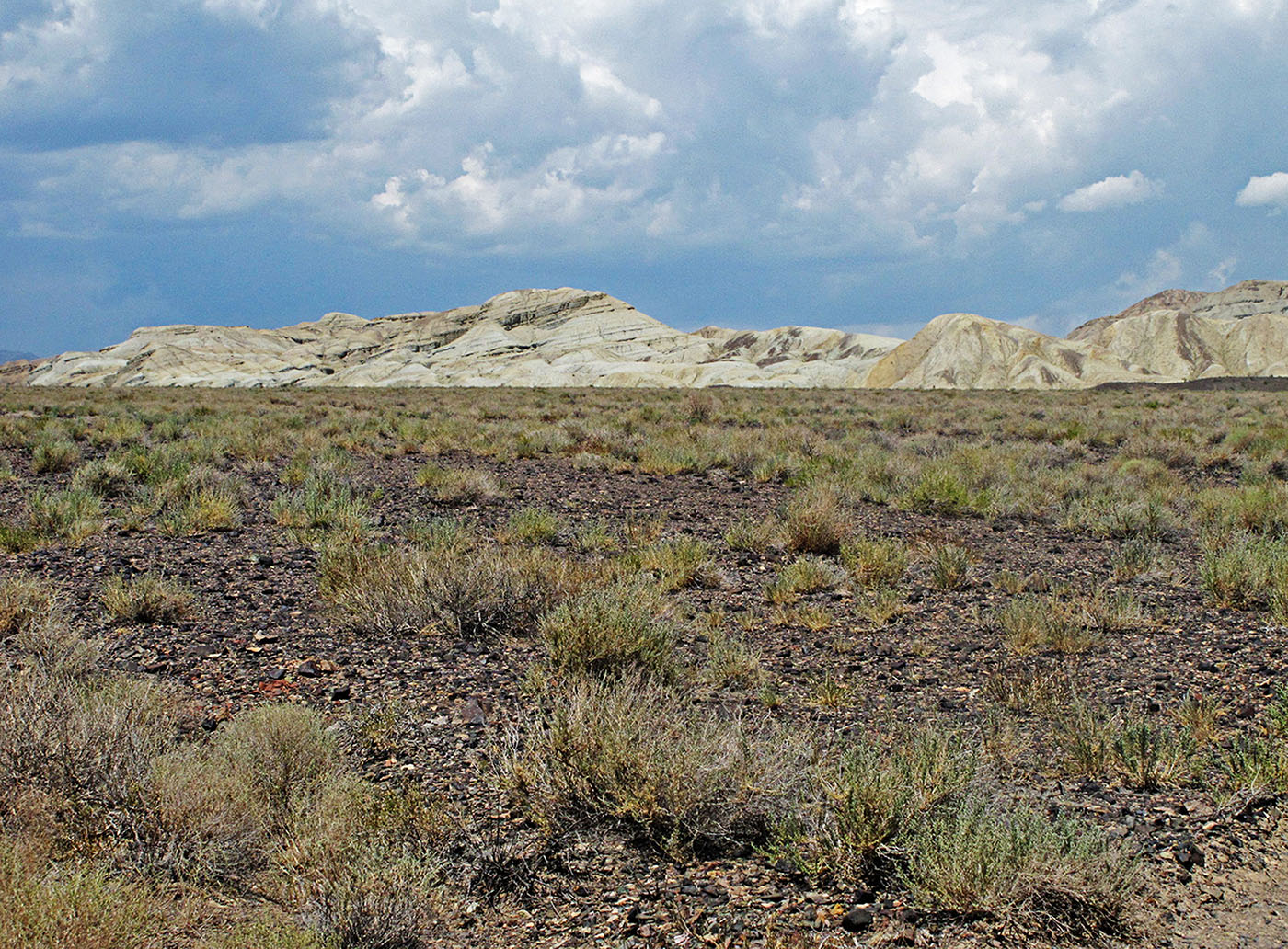 Горы Актау (Алтын-Эмель), image of landscape/habitat.