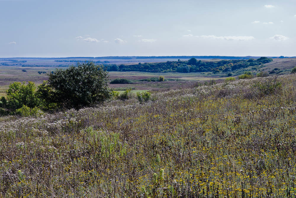 Тузловские склоны, image of landscape/habitat.