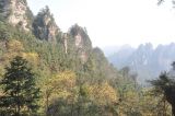 Image of landscape