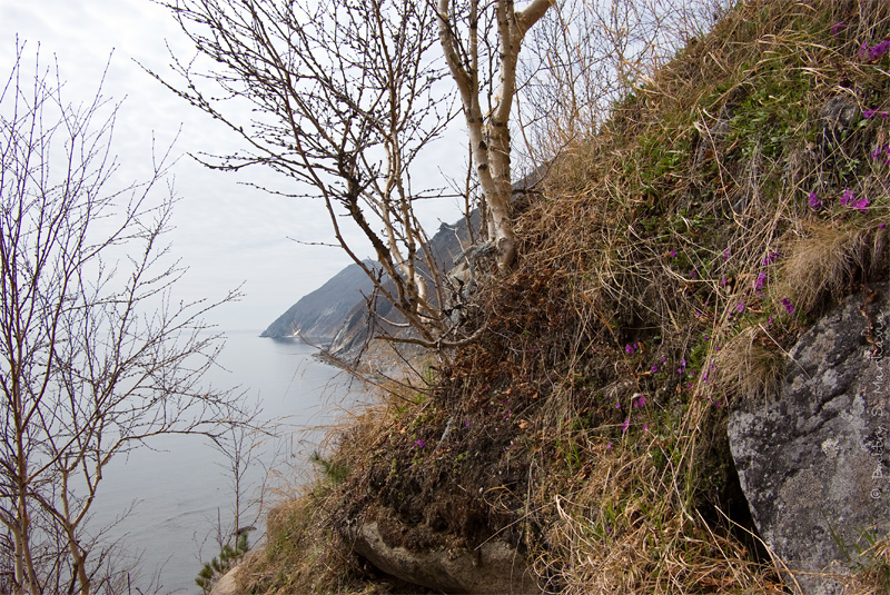 Берёзовый Ключ, image of landscape/habitat.